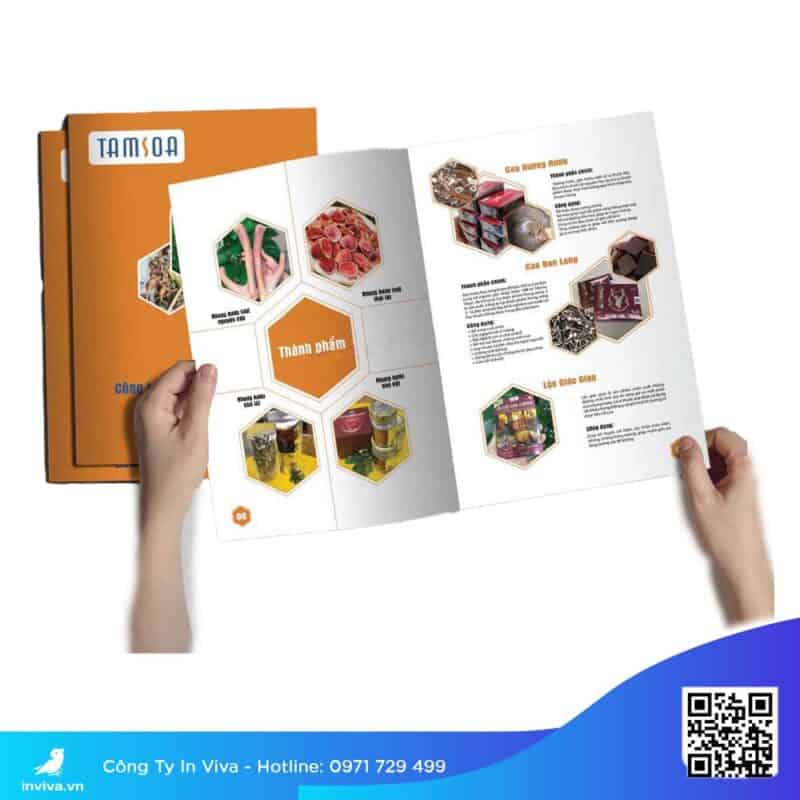 Địa chỉ in catalogue giá rẻ số lượng ít