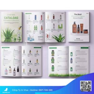 Thiết kế catalogue sản phẩm giá rẻ