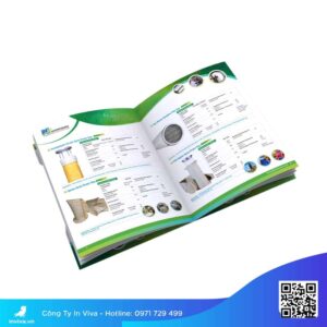 Các mẫu thiết kế catalogue đẹp