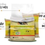 Bao bì giấy in offset ghép nhựa PP