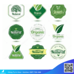 Công dụng in decal logo