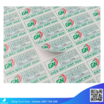 Decal vỡ là gì ? 