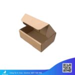 Hộp-Carton-COD
