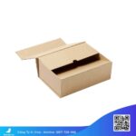 Hộp-Giấy-Kraft-Có-Sẵn