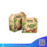 Hộp-carton-đựng-hoa-quả-trái-cây-chất-lượng-cao