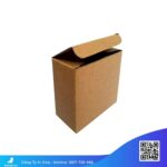 Hộp-carton-nhỏ-ship-cod