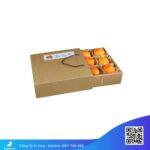 Hộp-giấy-đựng-hoa-quảHộp-giấy-đựng-hoa-quả