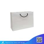 Túi-giấy-cao-cấp-Ibag-IvoryTúi-giấy-ivory