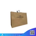 Túi-giấy-coach-đựng-quà-size-lớn