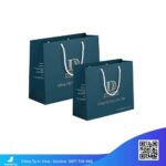 Túi-giấy-cứng-cao-cấp