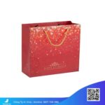 Túi giấy cứng cáp đựng quà Tết