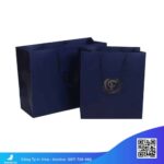 Túi-giấy-cứng-sang-trọngTúi-giấy-cứng-size-lớn