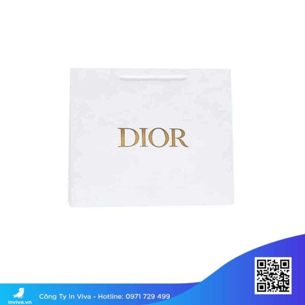 Túi giấy dior