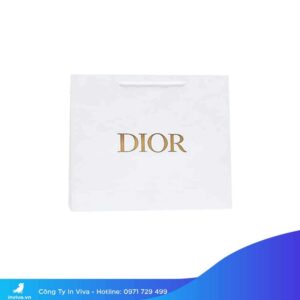 Túi giấy diorTúi giấy dior