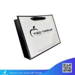 Túi-giấy-đựng-điện-thoại-giá-rẻ,-chất-lượng