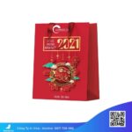 Túi đựng quà Tết rực rỡ