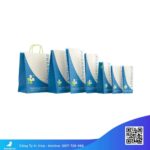 Túi-giấy-đựng-thuốc-tây