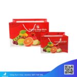 Mẫu túi đựng hoa quả đẹp