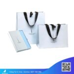 Túi-giấy-in-nhanh-số-lượng-ít-có-quai
