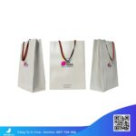 Túi-giấy-in-số-lượng-ít-giá-rẻ