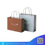 Túi-giấy-in-số-lượng-ít-rẻ-inh-nhanh