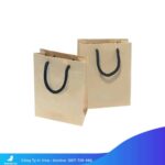 Túi-giấy-nhỏ-túi-giấy-miniTúi-giấy-nhỏ-túi-giấy-mini