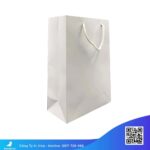 Mẫu túi giấy trắng trơn đáy đứng