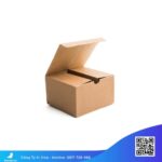 hộp-giấy-carton-nhỏ,-hộp-carton-nhỏ