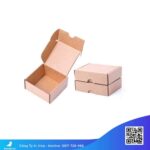 hộp-giấy-carton-nhỏ,-hộp-giấy-nhỏHộp-giấy-carton-nhỏ