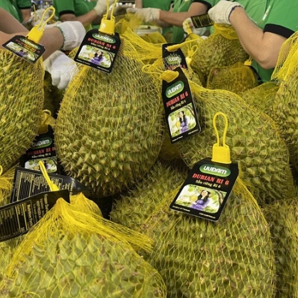 Hình ảnh nhãn sầu riêng