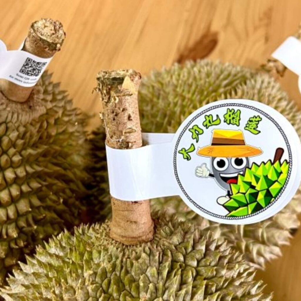 Hình ảnh nhãn sầu riêng