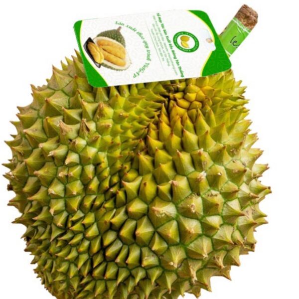 Hình ảnh nhãn sầu riêng