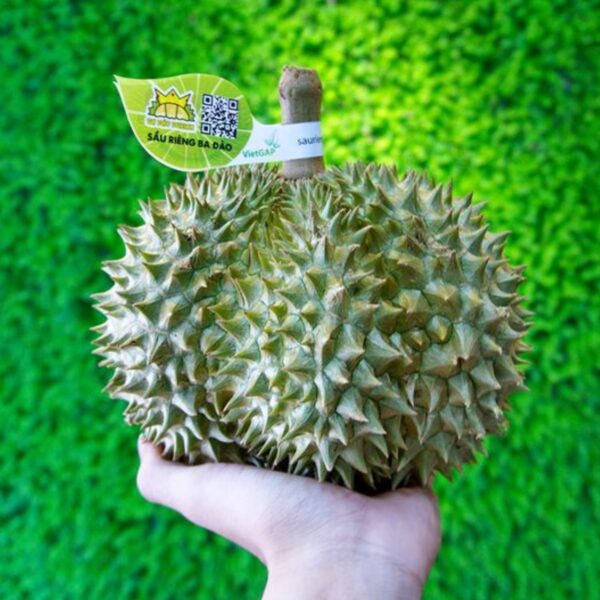 Hình ảnh nhãn sầu riêng
