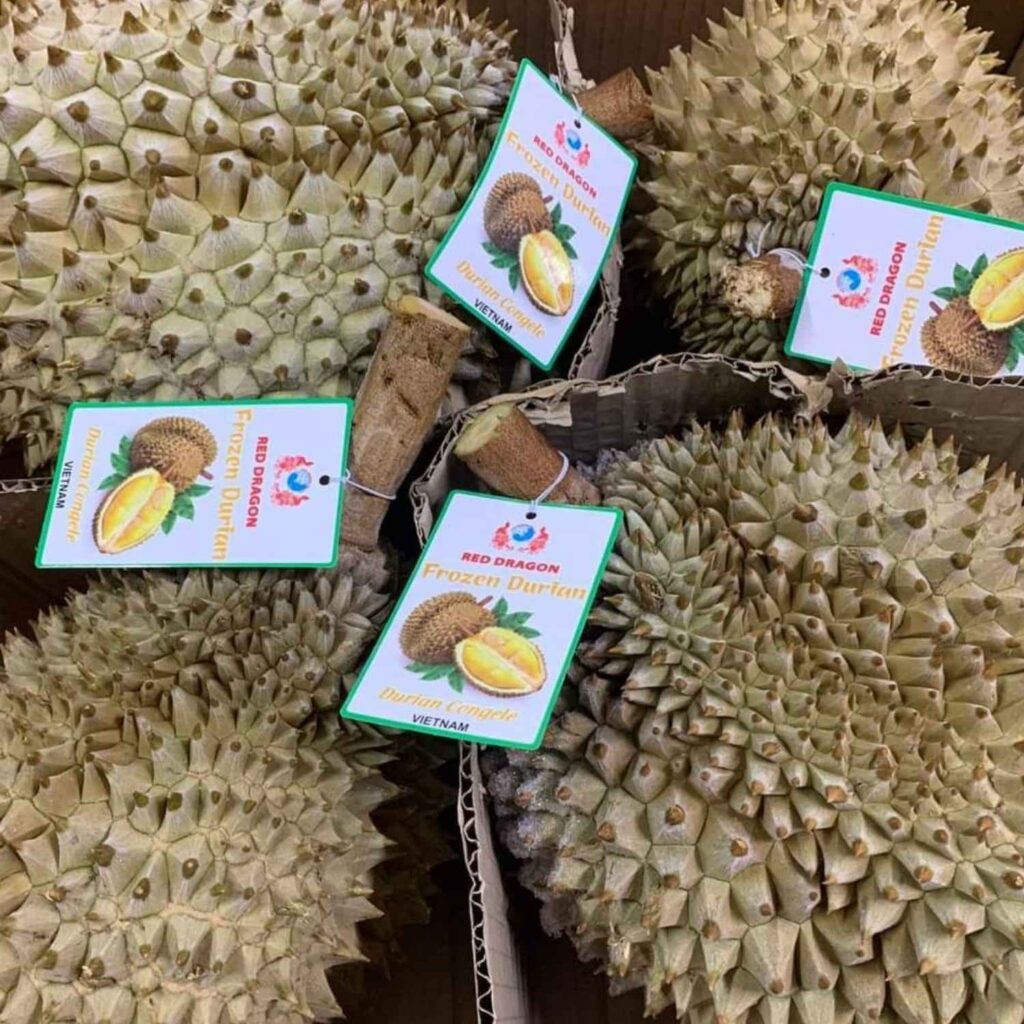 Hình ảnh nhãn sầu riêng