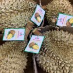 Hình ảnh nhãn sầu riêng