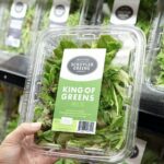 Mẫu tem dán nhãn thực phẩm tham khảo