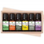 Hình ảnh tem nhãn tinh dầu