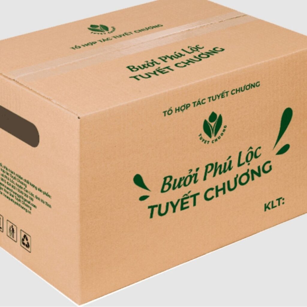 Hình ảnh thùng carton đựng bưởi