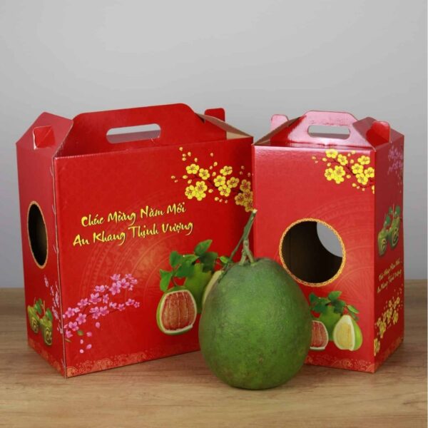 Hình ảnh thùng carton đựng bưởi