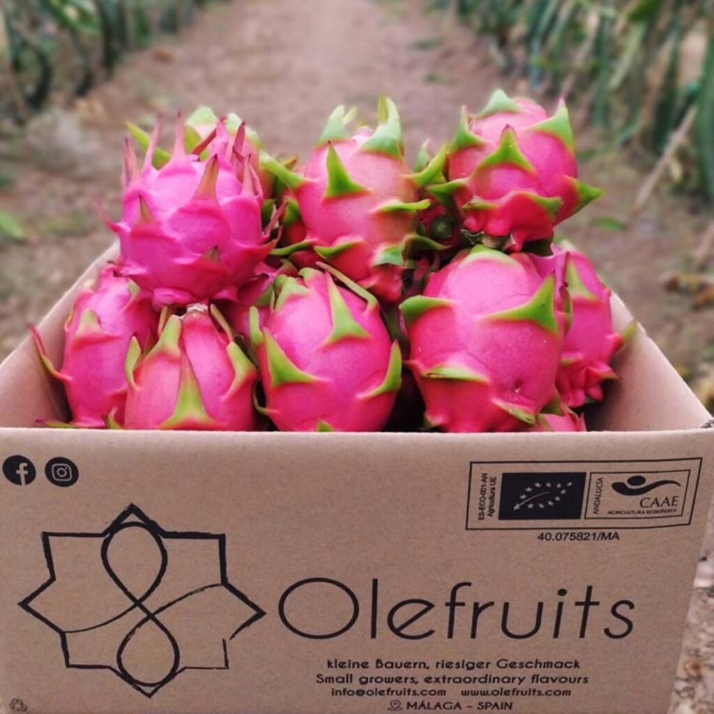 Hình ảnh thùng carton đựng thanh long