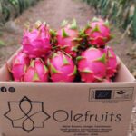 Hình ảnh thùng carton đựng thanh long