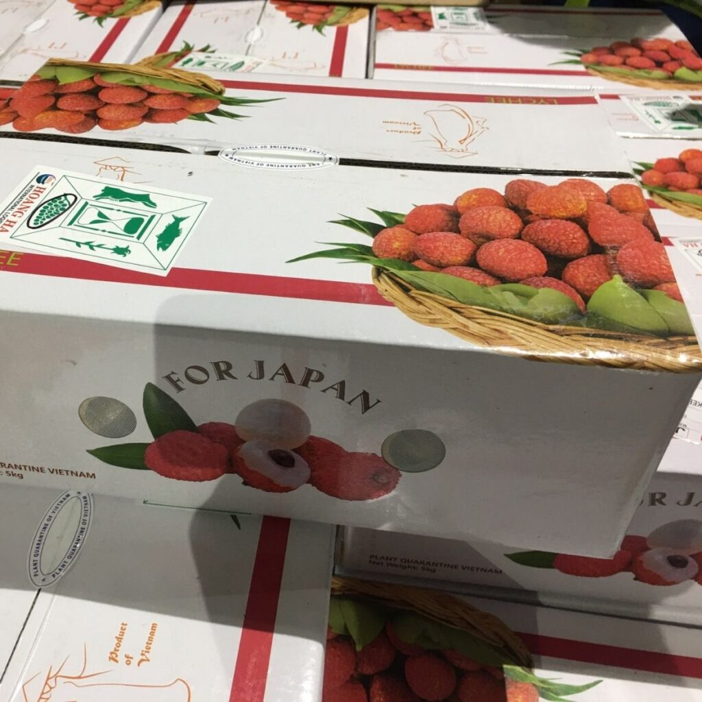 Hình ảnh thùng carton đựng vải