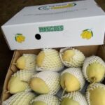 Hình ảnh thùng carton đựng xoài