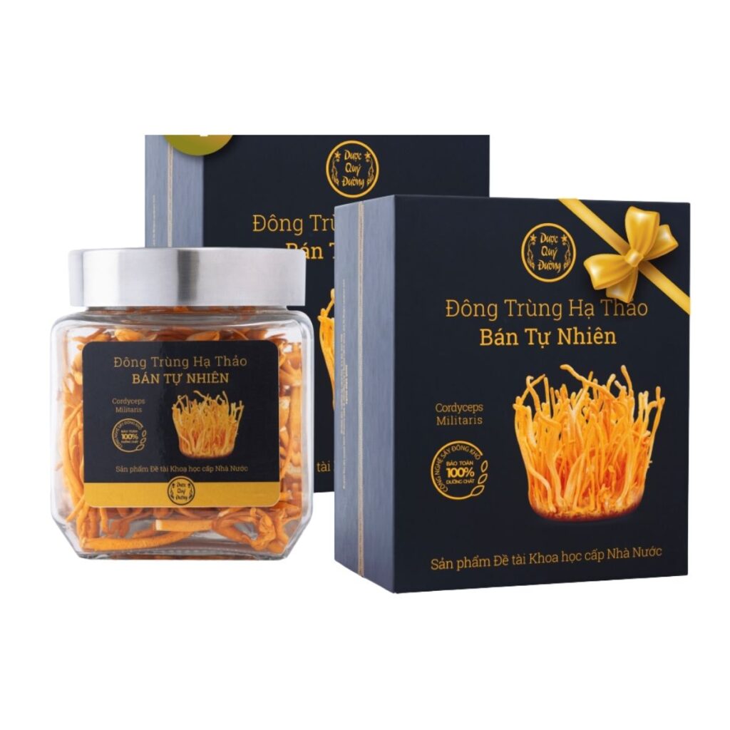 Mẫu in hộp đông trùng hạ thảo