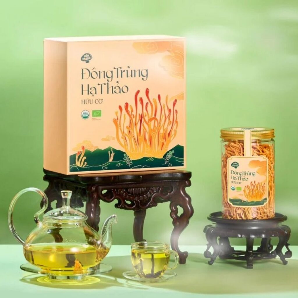 Mẫu in hộp đông trùng hạ thảo