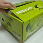 Mẫu thùng carton đóng hàng xuất khẩu