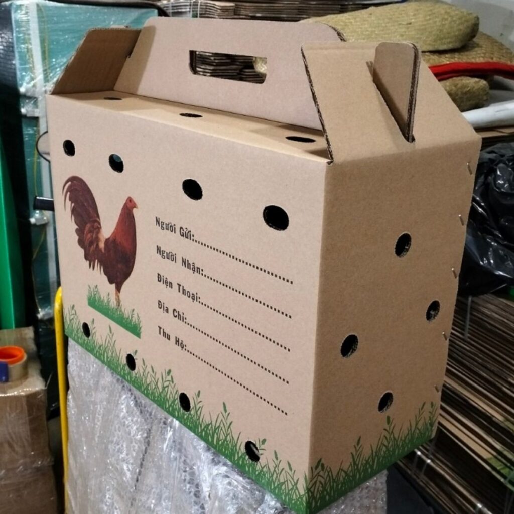Hình ảnh thùng carton đựng gà