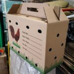 Hình ảnh thùng carton đựng gà