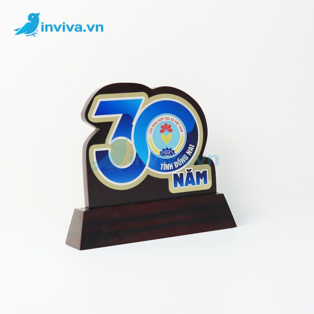 Dịch vụ in kỷ niệm chương theo yêu cầu, giá tốt từ 100.000đ tại HCM - Thiết kế mẫu miễn phí - Inviva.vn