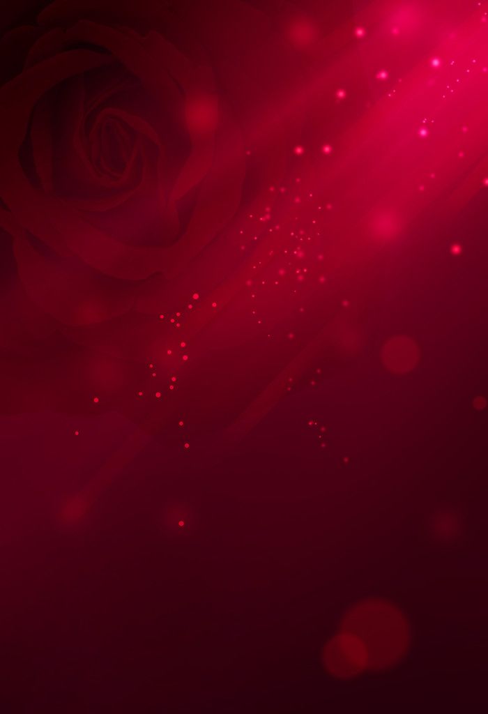 Background Valentine hoa hồng đỏ rực rỡ mang vẻ đẹp huyền bí, cuốn hút